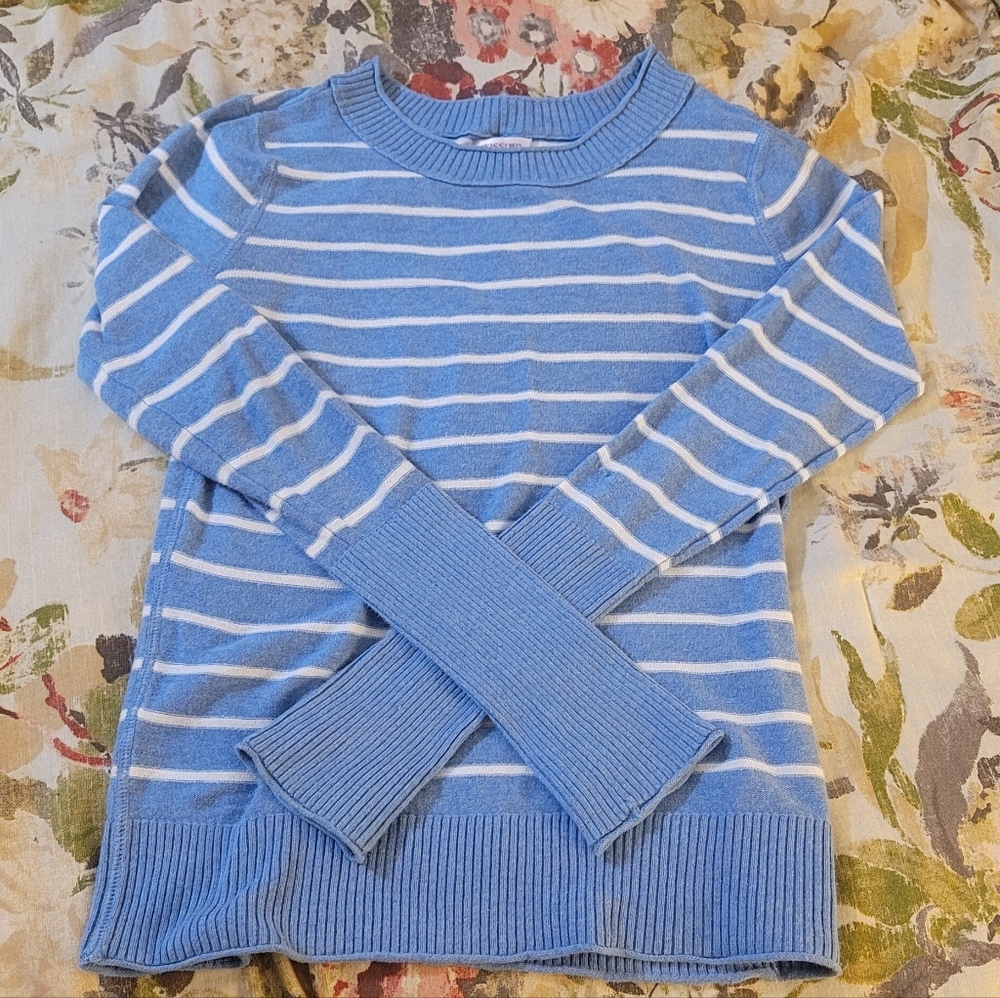 Mossimo Supply Co. Blue and White Striped Sweater